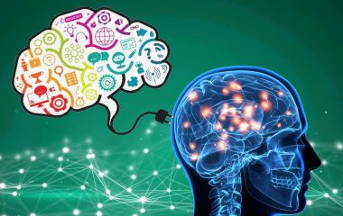 Fascinating Facts That Will Blow Your Mind Fascinating Facts That Will Blow Your Mind