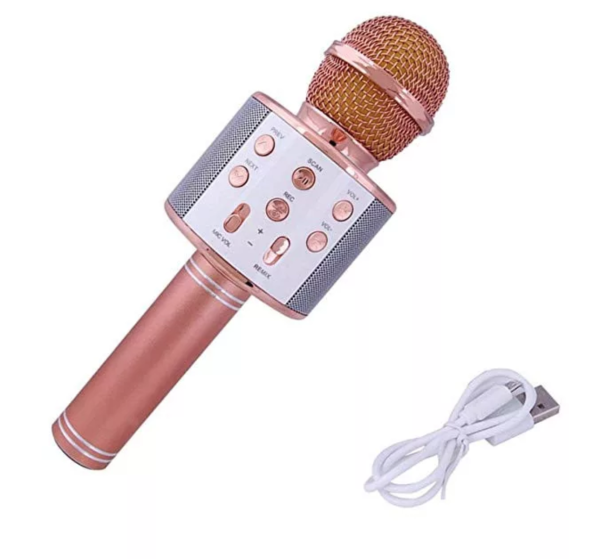 Wireless karaoke microphone WS858